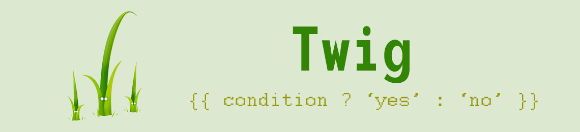 Ternary Operators in Twig