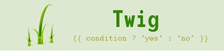 Ternary Operators in Twig